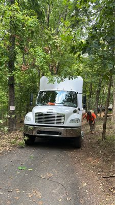 Tree-service truck positioned at a wooded residential worksite